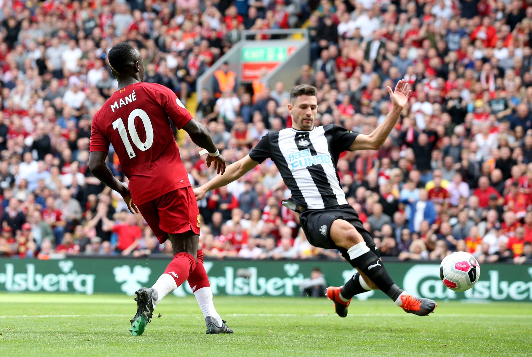 为世界留下 为世界留下