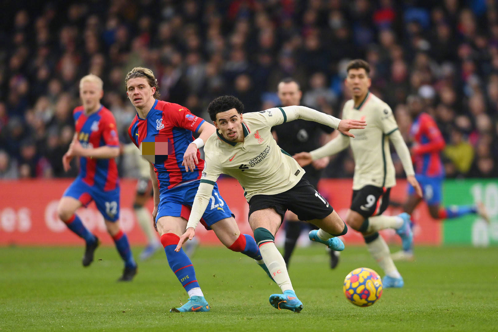 显单一的技 显单一的技